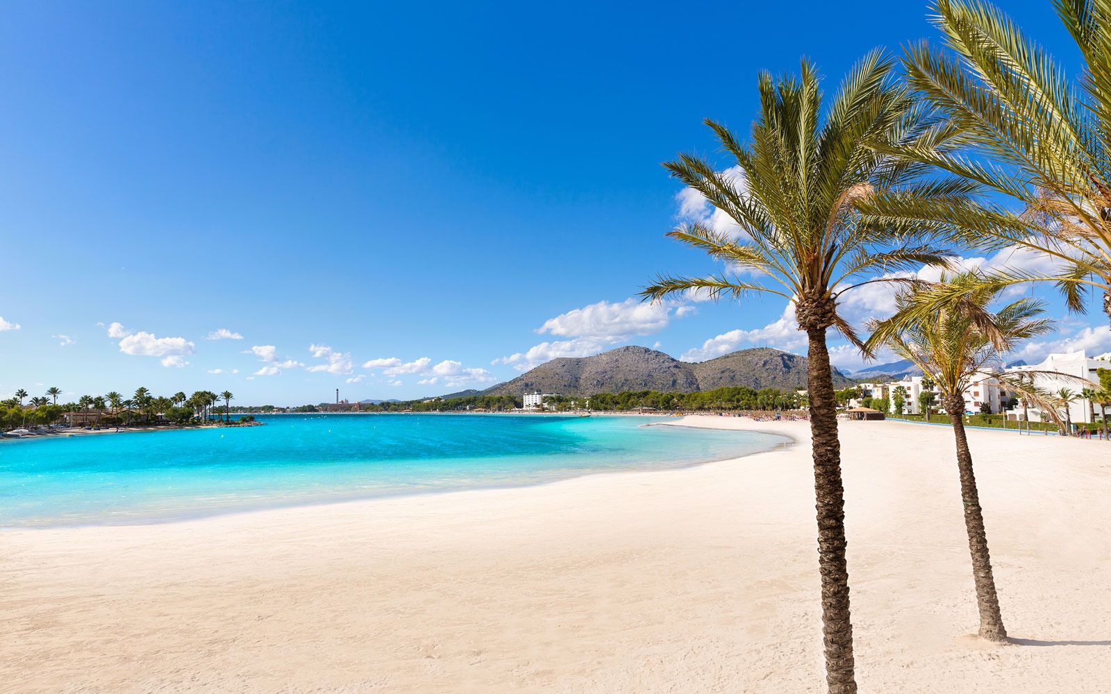 Baie d’Alcudia vue depuis la plage