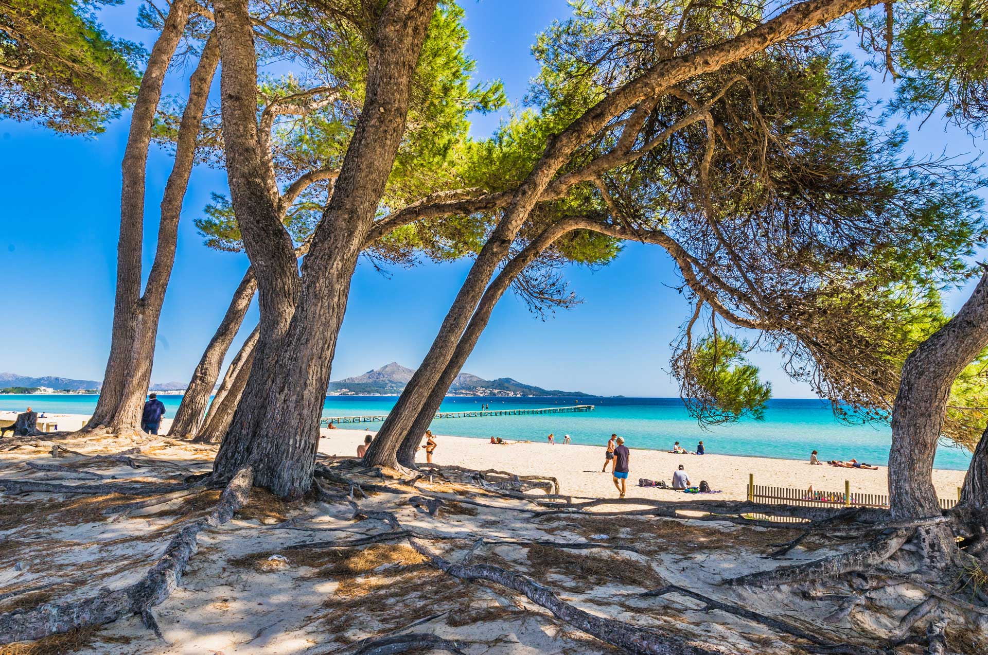Playa de Alcudia